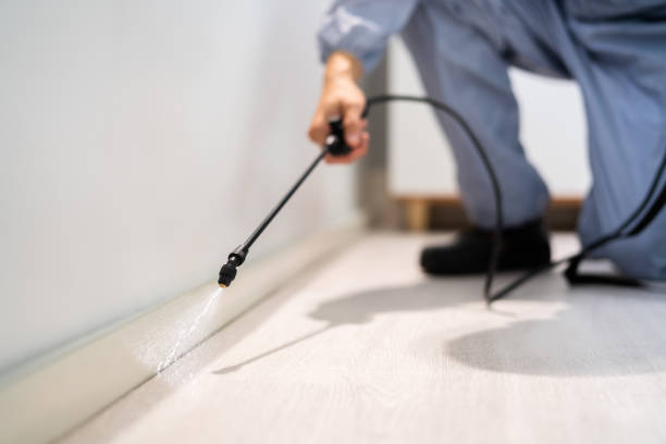 Licensed Termite Control service in Vandalia, MO - Nex Pest Control