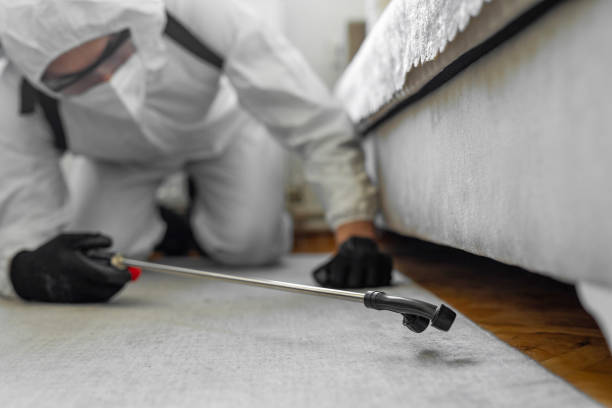 Professional Termite Control technician working in Vandalia, MO