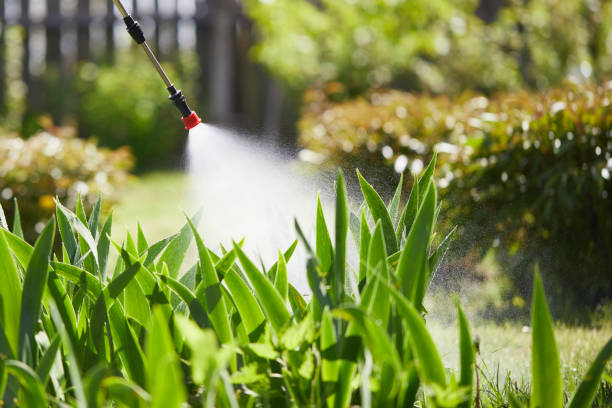 24/7 Emergency Termite Control experts in Vandalia, MO