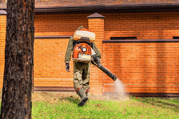Top rated local Termite Control specialists in Vandalia, MO